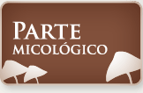 Parte Micolgico